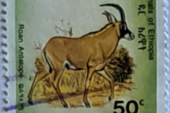 s1