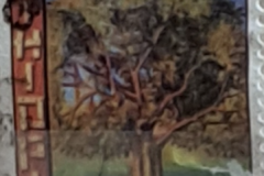 s35