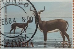 Zambia_stamp1_100