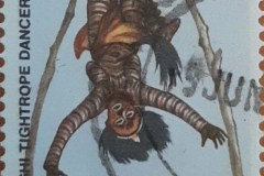 Zambia_stamp1_101