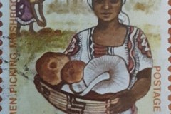 Zambia_stamp1_103