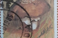 Zambia_stamp1_106
