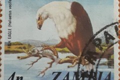 Zambia_stamp1_92