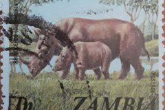 Zambia_stamp1_99
